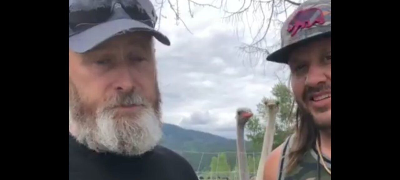 A STAY OF EXECUTION FOR THE OSTRICHES