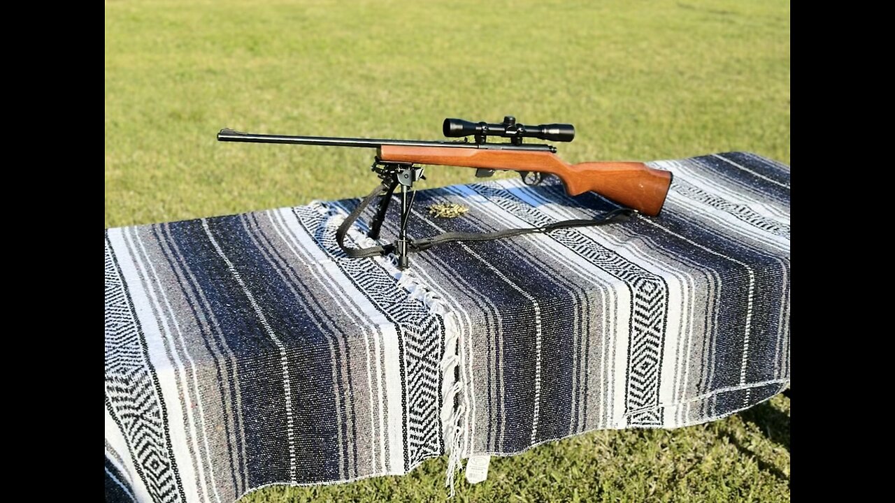 Marlin Model 25 taking 200+ yard shots
