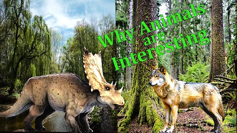 Sunday Afternoon Dinosaur & Animal Talk... EP 3...