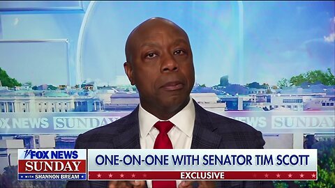 Tim Scott: The last couple of weeks under Trump have been a 'remarkable success'
