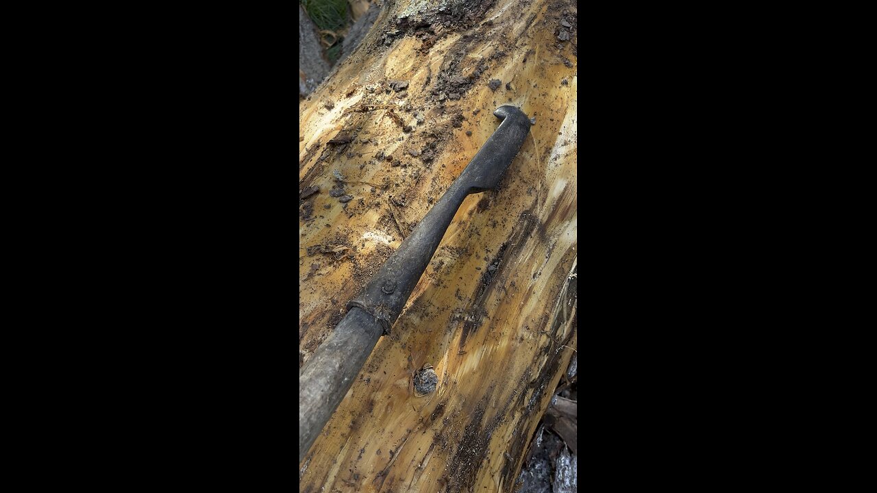 Antique Bark Spud in action