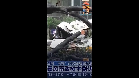 China News