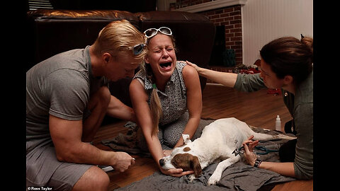 GOVERNMENT & BIG PHARMA ARE KILLING THOUSANDS OF OUR PETS A DAY WITH HARMFUL VACCINES. 💉