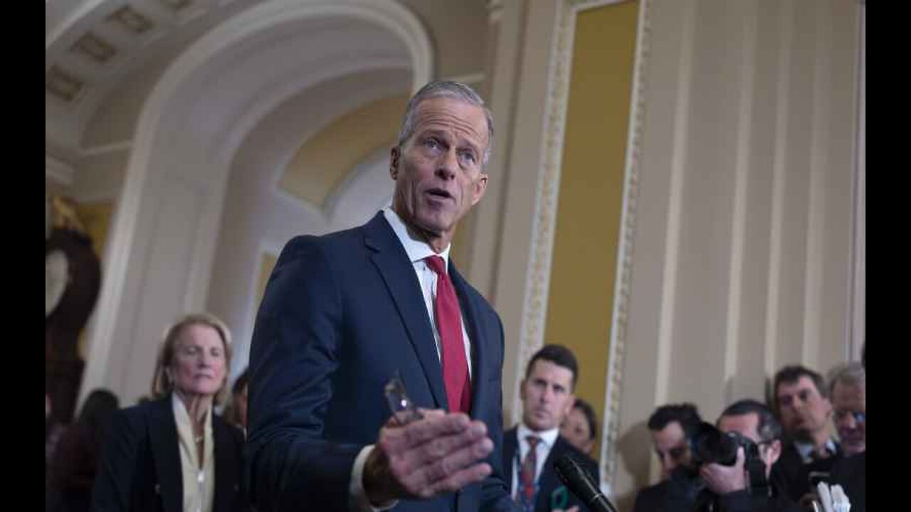 Leader Thune Is Crystal Clear After Musk Remarks