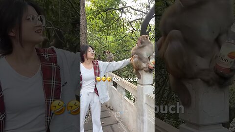 Animals Funny Compilation #funnyanimals #animals #pets #shorts