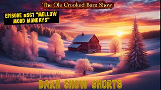 “Barn Show Shorts” Ep. #561 “Mellow Mood Mondays”