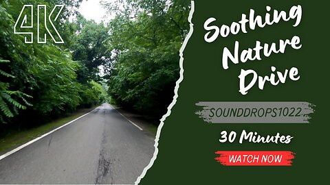 30 Minutes of Soothing Nature Drive Music