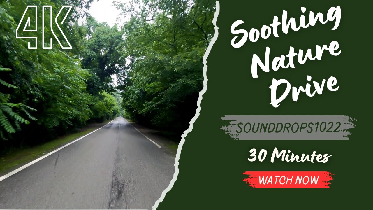 30 Minutes of Soothing Nature Drive Music