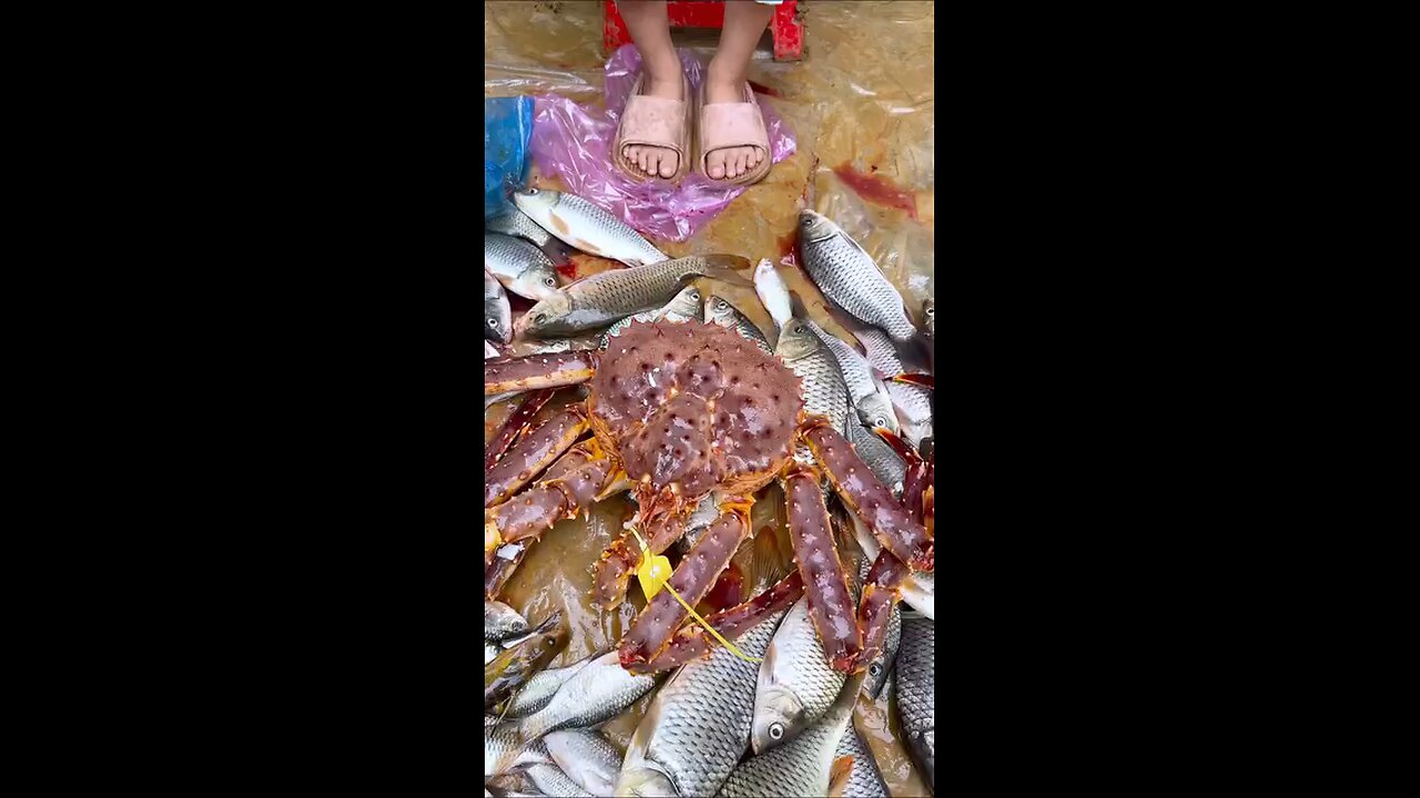 funny eating video