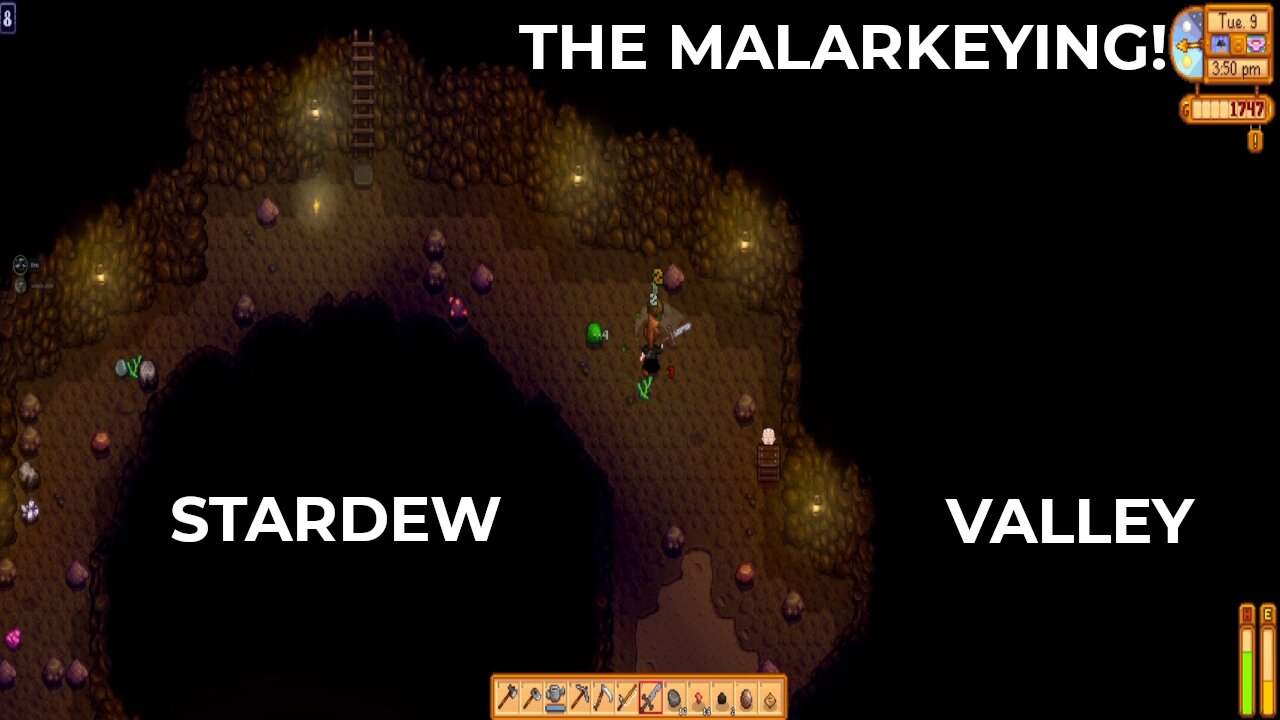 The Malarkeying | Stardew Valley Coop