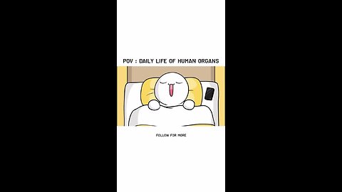DAILY LIFE OF HUMAN ORGANS Don't miss the end 🤣