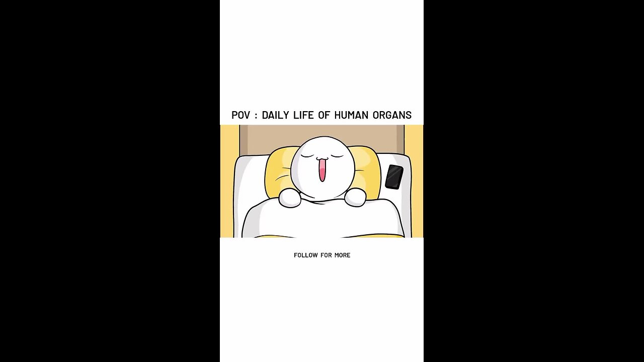 DAILY LIFE OF HUMAN ORGANS Don't miss the end 🤣