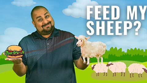 Feed my Sheep