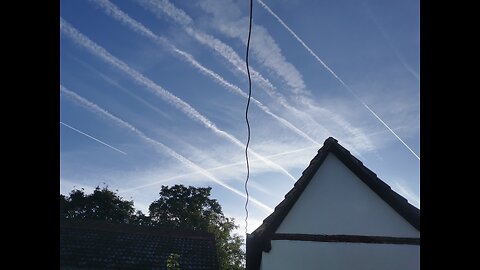 Zadyma na niebie w EU & nasz detoks