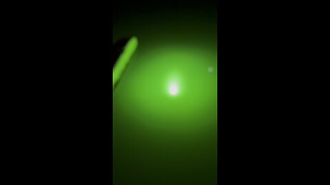 Suzy’s Snook Light! | 4K