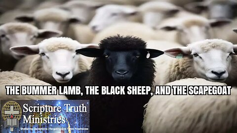 THE BUMMER LAMB, THE BLACK SHEEP, AND THE SCAPEGOAT