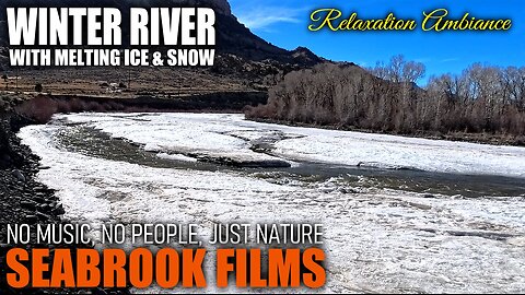 Winter River With Melting Ice and Snow: Soothing Midwinter Thaw in the Rocky Mountains