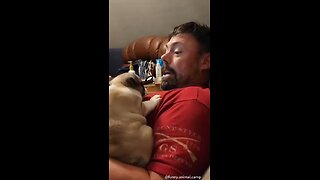 Love All Life Always #399 - Dogs With Personality Speaking Out With Their Hu-manz..🦮🐕🐶