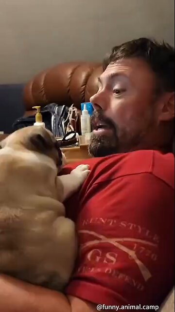 Love All Life Always #399 - Dogs With Personality Speaking Out With Their Hu-manz..🦮🐕🐶