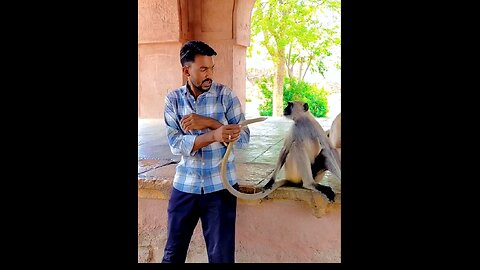Money and Indian crazy boy funny videos