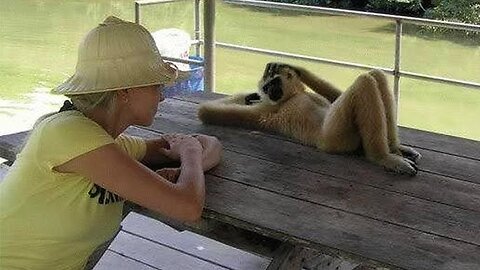 Animals Never Fail To Make Us Laugh 🤣 | Funny Animals Video 2025 | Hilarious Pets & Viral Clips