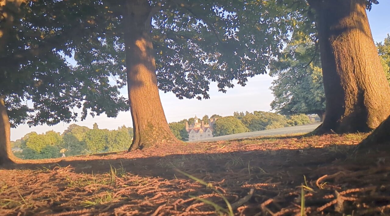 Monodruid (Live) Sevenoaks — Knole Park (8th August, 2025)