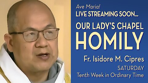 Saturday of the Tenth Week in Ordinary Time - June 14, 2025 - HOMILY
