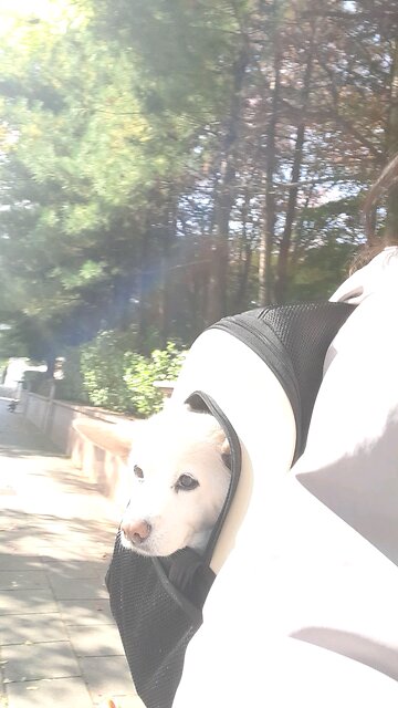 20251105. God Is Love.