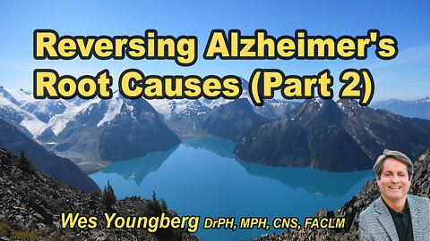 Ten Steps in Testing for and Reversing the Underlying Causes of Alzheimer's - Part 2