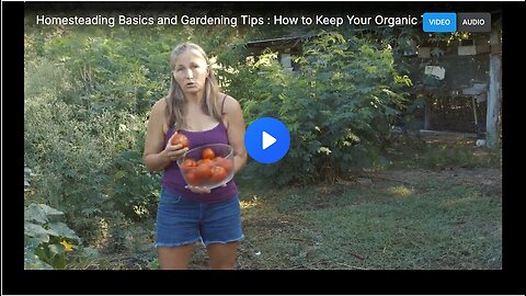 "Keeping Your Organic Tomato Garden Fresh: Homesteading Basics and Gardening Tips"