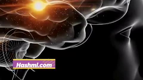 Winter Cashew Benefits ❄️🥜 | काजू की ताकत!