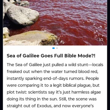 Headlines 08/11/2025