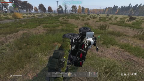 DayZ