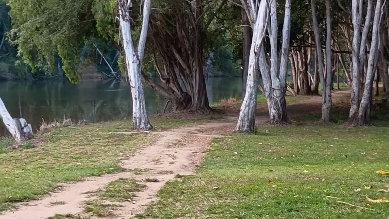 13.7.2025 Barron River Esplanade, Kuranda