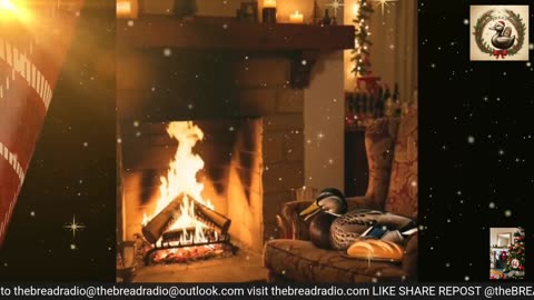 theBREADradio Dec 10 - Cranky Pants