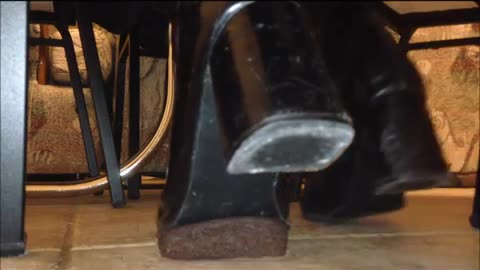 Under the Kitchen Table
