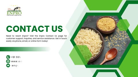 What is Rice DDGS?