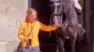 Respect moment for soldier king guard horse❤️