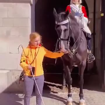 Respect moment for soldier king guard horse❤️