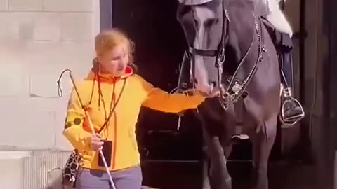 Respect moment for soldier king guard horse❤️