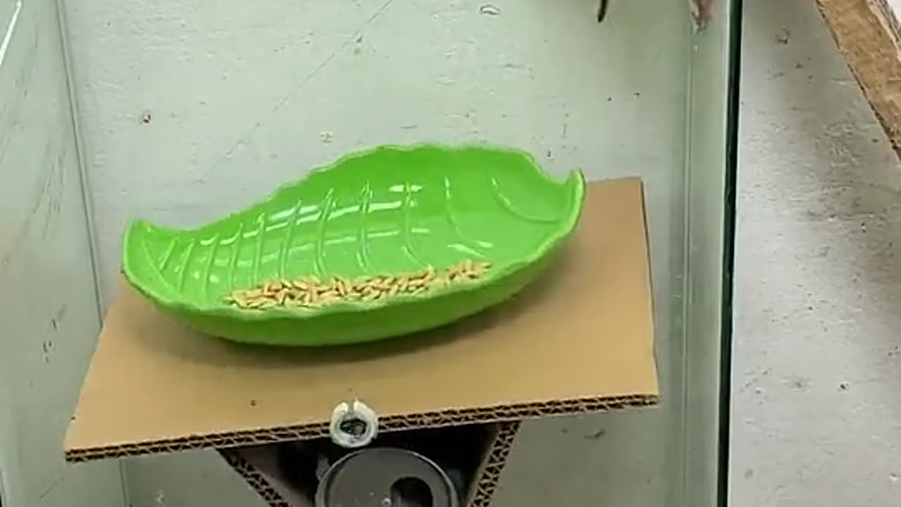 🤣