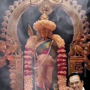 ஆடும் பரிவேல் முருகா TMS LEGEND M.THIRAVIDA SELVAN SINGAPORE TMS FANS 2025