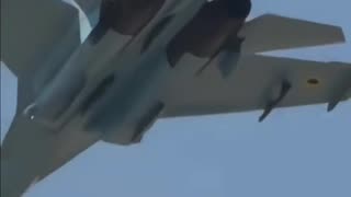 Incredible Footage from a Ukrainian Mig-29 Up Close