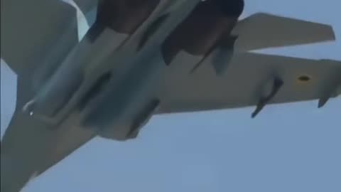 Incredible Footage from a Ukrainian Mig-29 Up Close