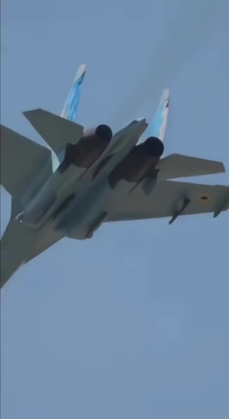 Incredible Footage from a Ukrainian Mig-29 Up Close