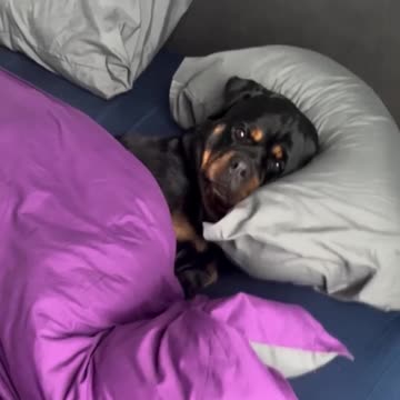 Sleeping in late on a Sunday