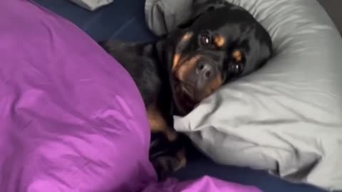 Sleeping in late on a Sunday