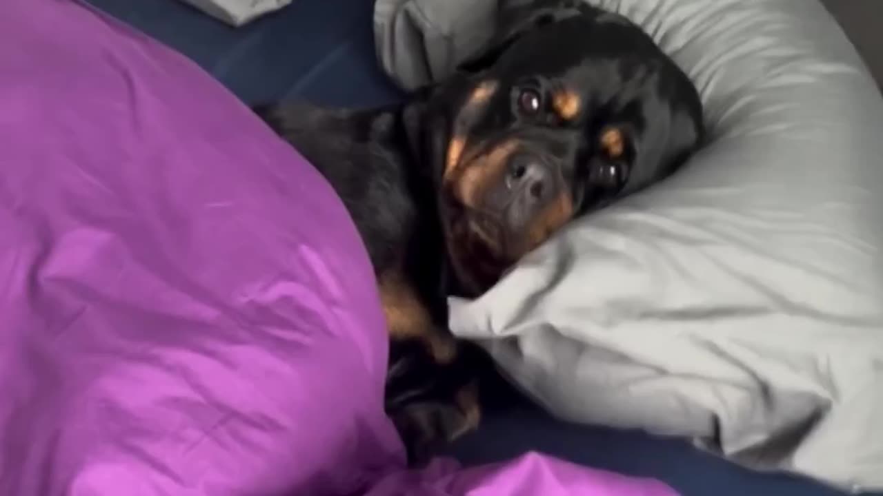 Sleeping in late on a Sunday