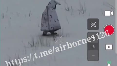 New Animal Species Found in Eastern Ukraine