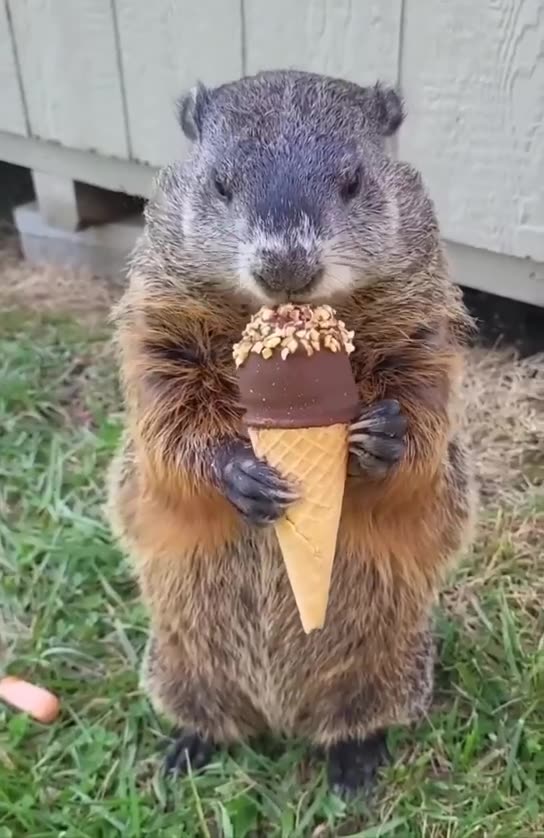 Summer is coming 👍